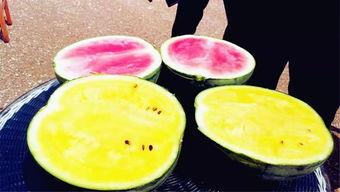 大瓜最新爆料,大瓜最新剧情揭秘,真相令人震惊! 第2张 大瓜最新爆料,大瓜最新剧情揭秘,真相令人震惊! 第2张